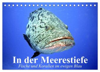Naptár/Határidőnapló In der Meerestiefe. Fische und Korallen im ewigen Blau (Tischkalender 2027 DIN A5 quer), CALVENDO Monatskalender Calvendo