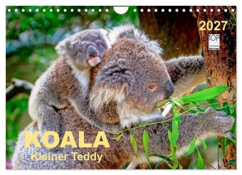 Kalender/agenda Koala - kleiner Teddy (Wandkalender 2027 DIN A4 quer), CALVENDO Monatskalender Calvendo