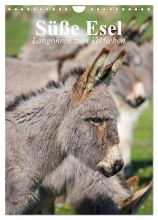 Kalender/Terminbuch Süße Esel. Langohren zum Verlieben (Wandkalender 2027 DIN A4 hoch), CALVENDO Monatskalender Calvendo
