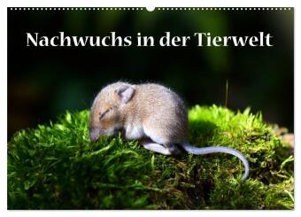Naptár/Határidőnapló Nachwuchs in der Tierwelt (Wandkalender 2027 DIN A2 quer), CALVENDO Monatskalender Calvendo