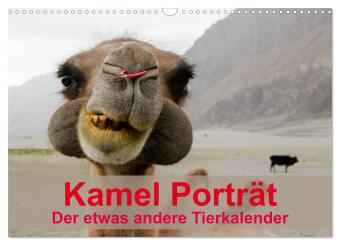 Calendario/Diario Kamel Porträt (Wandkalender 2027 DIN A3 quer), CALVENDO Monatskalender Calvendo