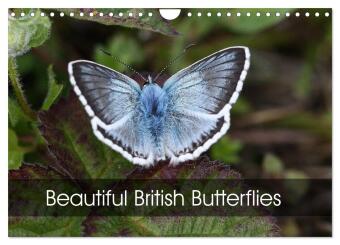 Naptár/Határidőnapló Beautiful British Butterflies (Wall Calendar 2027 DIN A4 landscape), CALVENDO 12 Month Wall Calendar Calvendo