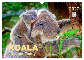Naptár/Határidőnapló Koala - kleiner Teddy (Wandkalender 2027 DIN A3 quer), CALVENDO Monatskalender Calvendo
