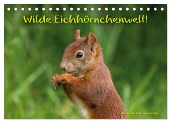 Calendario/Diario Wilde Eichhörnchenwelt! (Tischkalender 2027 DIN A5 quer), CALVENDO Monatskalender Calvendo