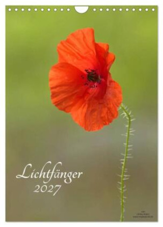 Kalendár/Diár Lichtfänger (Wandkalender 2027 DIN A4 hoch), CALVENDO Monatskalender Calvendo
