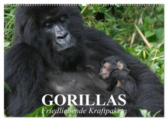 Kalender/agenda Gorillas. Friedliebende Kraftpakete (Wandkalender 2027 DIN A2 quer), CALVENDO Monatskalender Calvendo