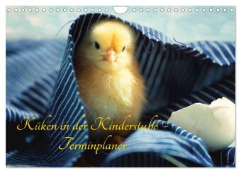 Kalender/Terminbuch Küken in der Kinderstube Terminplaner (Wandkalender 2027 DIN A4 quer), CALVENDO Monatskalender Calvendo