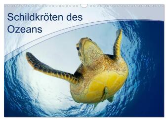 Kalender/Terminbuch Schildkröten des Ozeans (Wandkalender 2027 DIN A3 quer), CALVENDO Monatskalender Calvendo