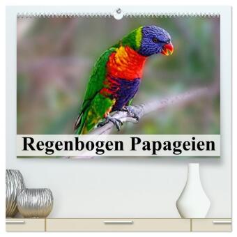 Kalender/Terminbuch Regenbogen Papageien (hochwertiger Premium Wandkalender 2027 DIN A2 quer), Kunstdruck in Hochglanz Calvendo