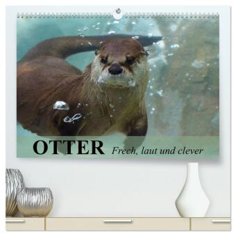 Kalender/agenda Otter. Frech, laut und clever (hochwertiger Premium Wandkalender 2027 DIN A2 quer), Kunstdruck in Hochglanz Calvendo