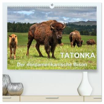 Kalender/Terminbuch TATONKA Der nordamerikanische Bison (hochwertiger Premium Wandkalender 2027 DIN A2 quer), Kunstdruck in Hochglanz Calvendo