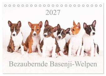 Kalender/agenda Bezaubernde Basenji-Welpen (Tischkalender 2027 DIN A5 quer), CALVENDO Monatskalender Calvendo