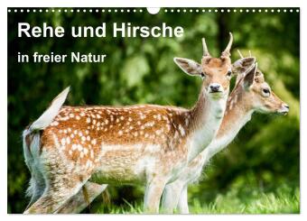 Naptár/Határidőnapló Rehe und Hirsche in freier Natur (Wandkalender 2027 DIN A3 quer), CALVENDO Monatskalender Calvendo