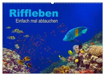 Kalender/Terminbuch Riffleben - Einfach mal abtauchen (Wandkalender 2027 DIN A2 quer), CALVENDO Monatskalender Calvendo