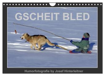 Kalender/Terminbuch GSCHEIT BLED - Humorfotografie (Wandkalender 2027 DIN A4 quer), CALVENDO Monatskalender Calvendo