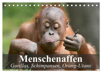 Kalender/Terminbuch Menschenaffen. Gorillas, Schimpansen, Orang-Utans (Tischkalender 2027 DIN A5 quer), CALVENDO Monatskalender Calvendo