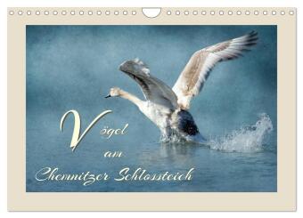 Kalender/Terminbuch Vögel am Chemnitzer Schlossteich (Wandkalender 2027 DIN A4 quer), CALVENDO Monatskalender Calvendo