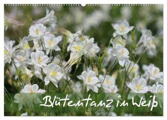Kalender/agenda Blütentanz in Weiß (Wandkalender 2027 DIN A2 quer), CALVENDO Monatskalender Calvendo
