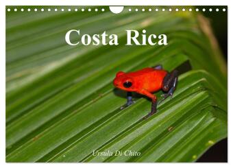 Kalendář/Diář Costa Rica (Wandkalender 2027 DIN A4 quer), CALVENDO Monatskalender Calvendo
