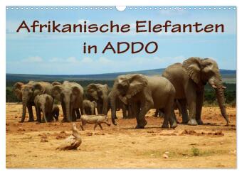 Kalendář/Diář Afrikanische Elefanten in ADDO (Wandkalender 2027 DIN A3 quer), CALVENDO Monatskalender Calvendo
