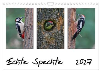 Kalender/Terminbuch Echte Spechte (Wandkalender 2027 DIN A4 quer), CALVENDO Monatskalender Calvendo