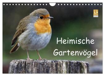 Kalender/agenda Heimische Gartenvögel (Wandkalender 2027 DIN A4 quer), CALVENDO Monatskalender Calvendo