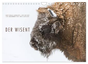 Kalender/Terminbuch Emotionale Momente: Der Wisent. (Wandkalender 2027 DIN A4 quer), CALVENDO Monatskalender Calvendo