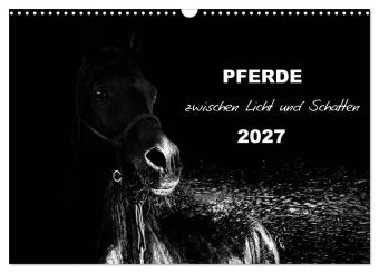 Kalendár/Diár Pferde zwischen Licht und Schatten (Wandkalender 2027 DIN A3 quer), CALVENDO Monatskalender Calvendo