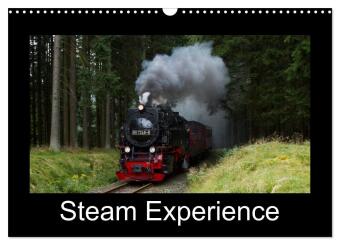 Kalendář/Diář Steam Experience (Wall Calendar 2027 DIN A3 landscape), CALVENDO 12 Month Wall Calendar Calvendo