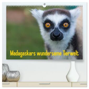 Kalendář/Diář Madagaskars wundersame Tierwelt (hochwertiger Premium Wandkalender 2027 DIN A2 quer), Kunstdruck in Hochglanz Calvendo