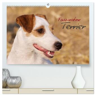 Kalender/Terminbuch Faszination Terrier (hochwertiger Premium Wandkalender 2027 DIN A2 quer), Kunstdruck in Hochglanz Calvendo