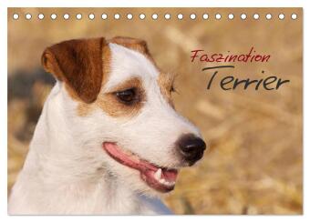 Naptár/Határidőnapló Faszination Terrier (Tischkalender 2027 DIN A5 quer), CALVENDO Monatskalender Calvendo