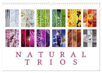 Kalendář/Diář Natural Trios (Wall Calendar 2027 DIN A3 landscape), CALVENDO 12 Month Wall Calendar Calvendo