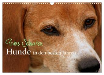 Kalender/Terminbuch Graue Schnuten - Hunde in den besten Jahren (Wandkalender 2027 DIN A3 quer), CALVENDO Monatskalender Calvendo