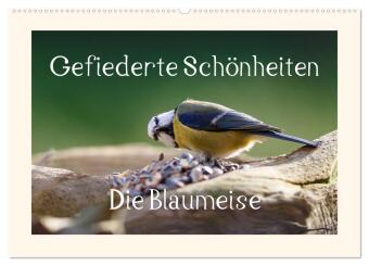 Kalender/agenda Gefiederte Schönheiten - Die Blaumeise (Wandkalender 2027 DIN A2 quer), CALVENDO Monatskalender Calvendo