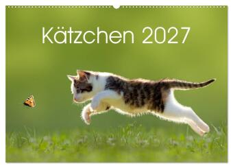 Календар/тефтер Kätzchen 2027 (Wandkalender 2027 DIN A2 quer), CALVENDO Monatskalender Calvendo