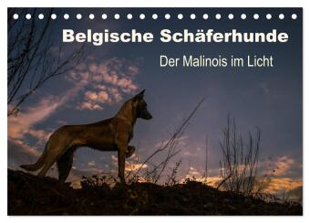Kalender/Terminbuch Belgische Schäferhunde - Der Malinois im Licht (Tischkalender 2027 DIN A5 quer), CALVENDO Monatskalender Calvendo