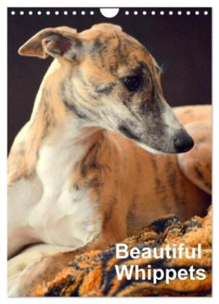 Naptár/Határidőnapló Beautiful Whippets (Wall Calendar 2027 DIN A4 portrait), CALVENDO 12 Month Wall Calendar Calvendo