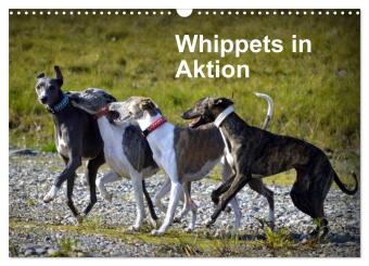Naptár/Határidőnapló Whippets in Aktion (Wandkalender 2027 DIN A3 quer), CALVENDO Monatskalender Calvendo