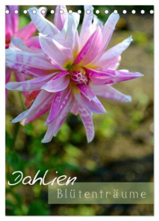 Kalendář/Diář Dahlien - Blütenträume (Tischkalender 2027 DIN A5 hoch), CALVENDO Monatskalender Calvendo