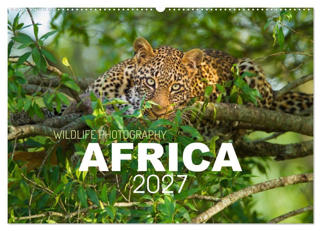 Naptár/Határidőnapló Africa Wildlife Photography (Wall Calendar 2027 DIN A2 landscape), CALVENDO 12 Month Wall Calendar 
