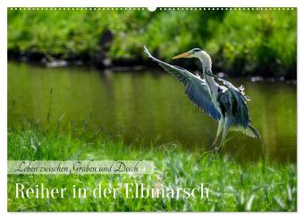 Kalendár/Diár Reiher in der Elbmarsch (Wandkalender 2027 DIN A2 quer), CALVENDO Monatskalender Calvendo