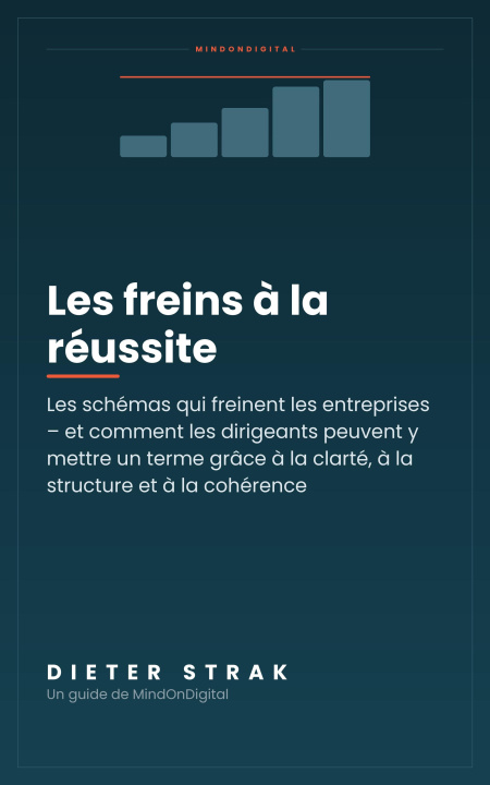 E-book Les freins a la reussite Dieter Strak