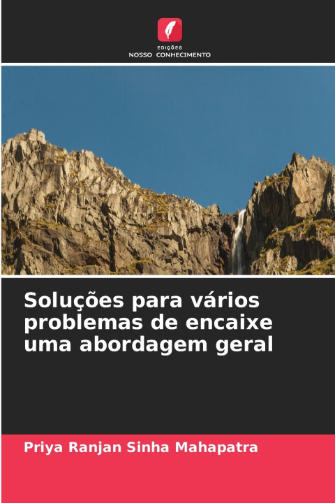 Boek Soluções para vários problemas de encaixe uma abordagem geral Priya Ranjan Sinha Mahapatra