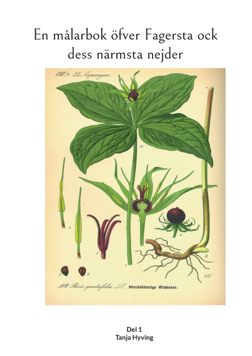Boek En målarbok öfver Fagersta ock dess närmsta nejder Tanja Hyving