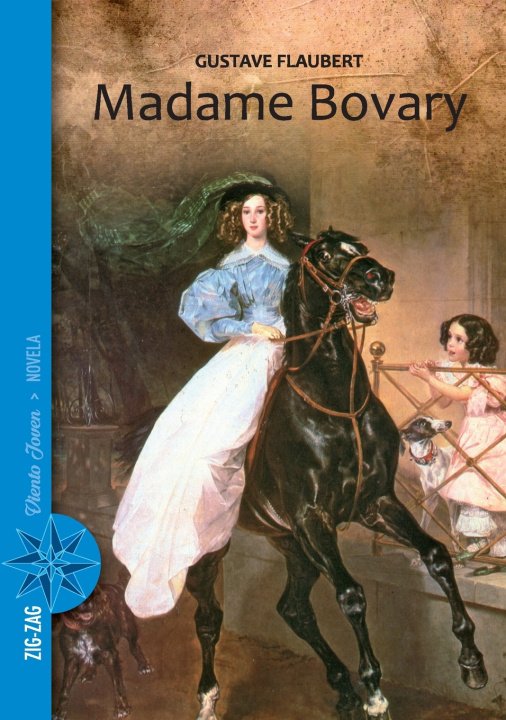 Boek Madame Bovary Gustave Flaubert