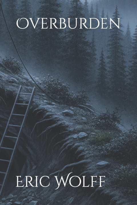 Buch Overburden Eric B Wolff