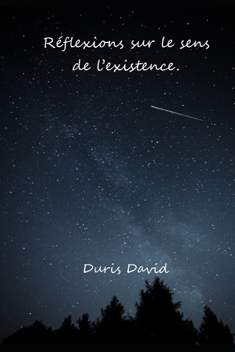 Book Réflexions sur le sens de l'existence! DAVID DURIS
