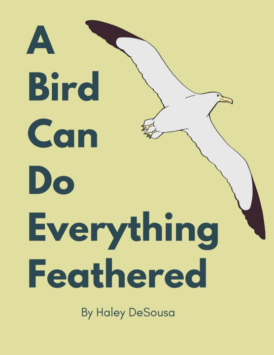 Book A Bird Can Do Everything Feathers Haley DeSousa