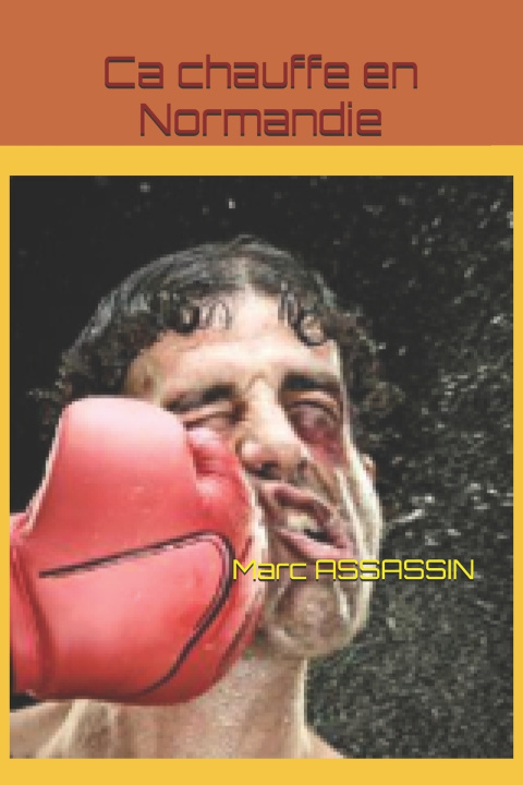Boek Ca chauffe en Normandie Marc Assassin
